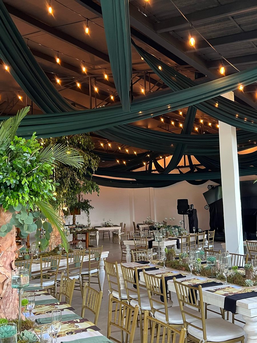 Recepción bajo carpa con drapeado verde, luces colgantes y mesas montadas con sillas Tiffany